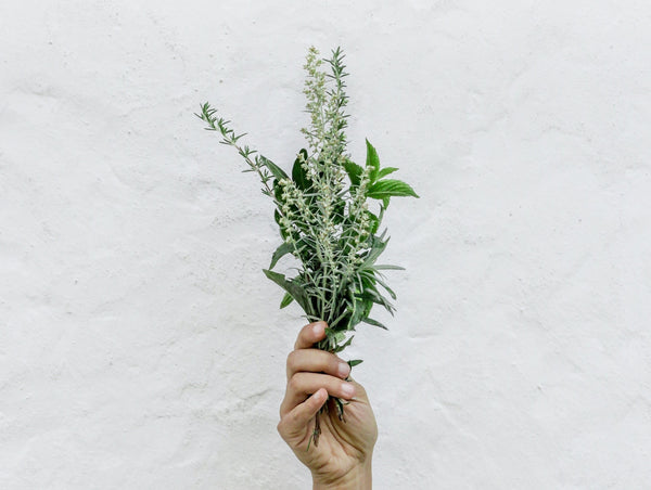 Cleansing Rituals